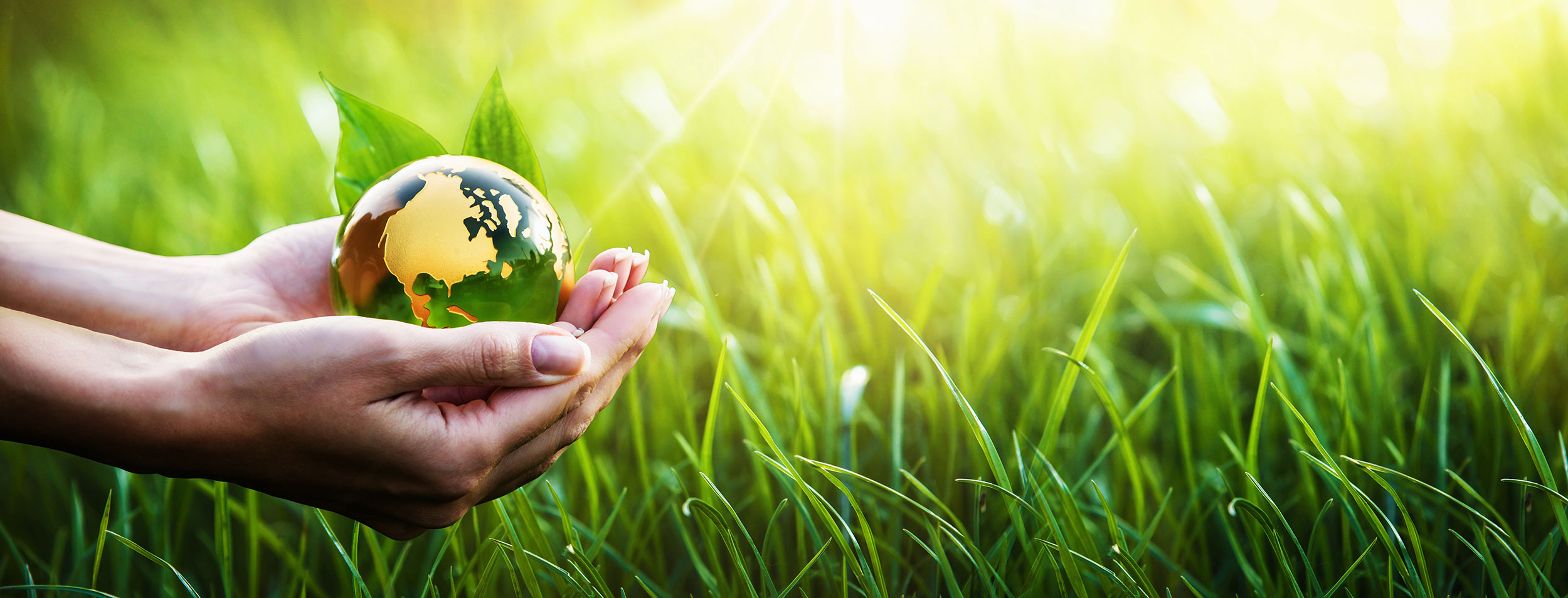 Curso De Especialização em Lato Sensu em Em Direito Ambiental E Urbanístico